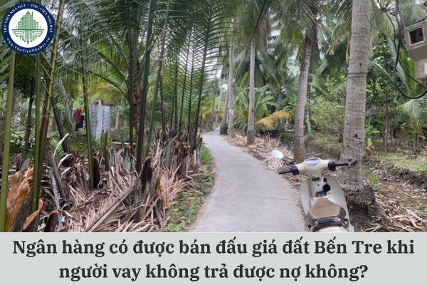 okevipp.com