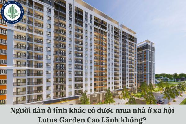 okevipp.com
