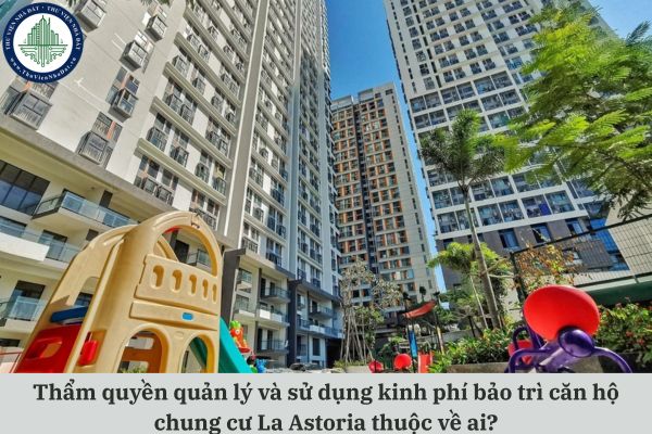 okevipp.com