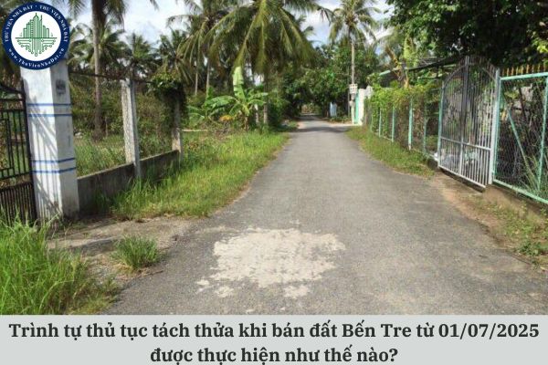 okevipp.com