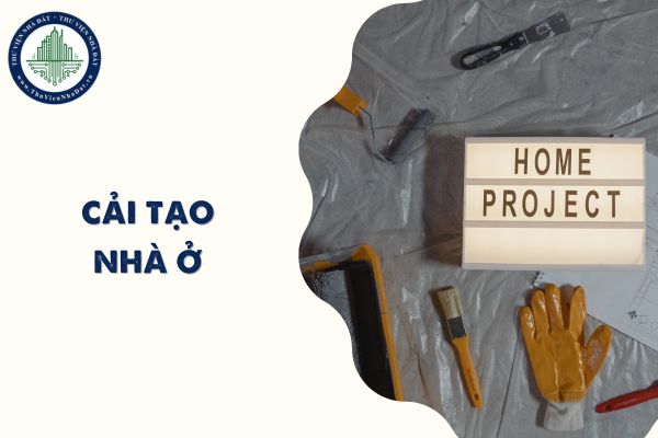 okevipp.com
