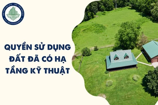 okevipp.com