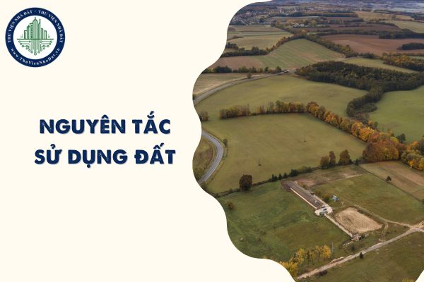okevipp.com