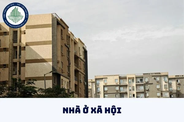 okevipp.com