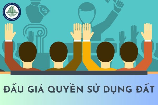 okevipp.com