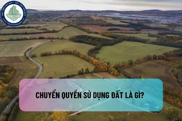 okevipp.com