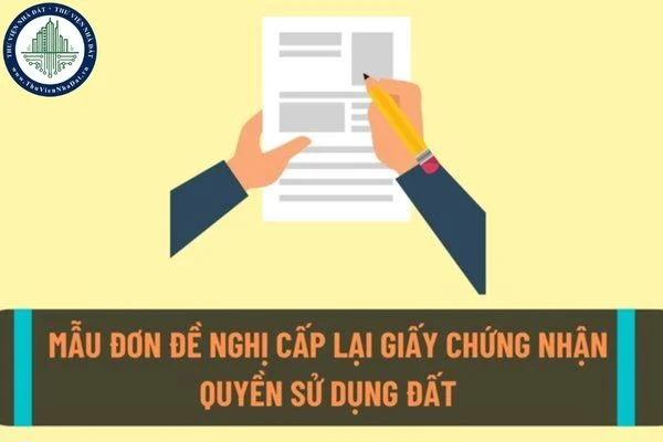 okevipp.com
