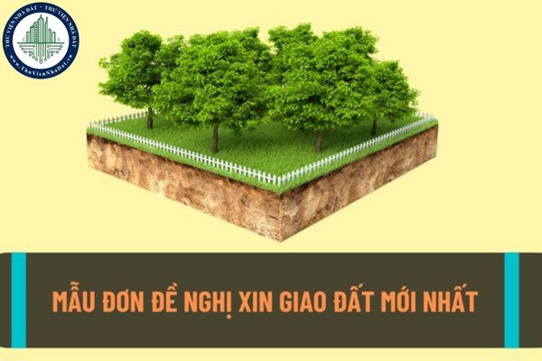 okevipp.com