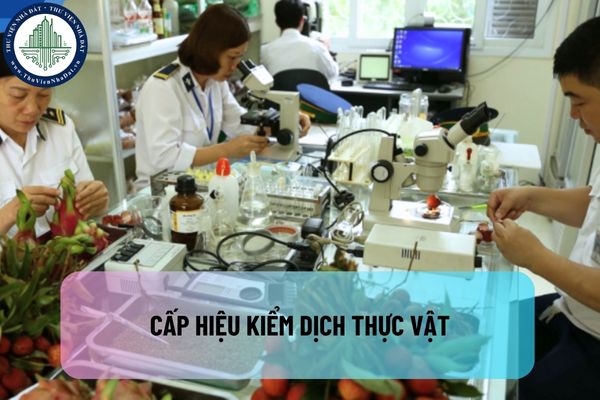 okevipp.com
