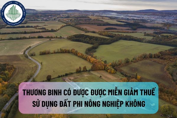 okevipp.com