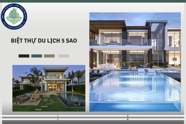 okevipp.com