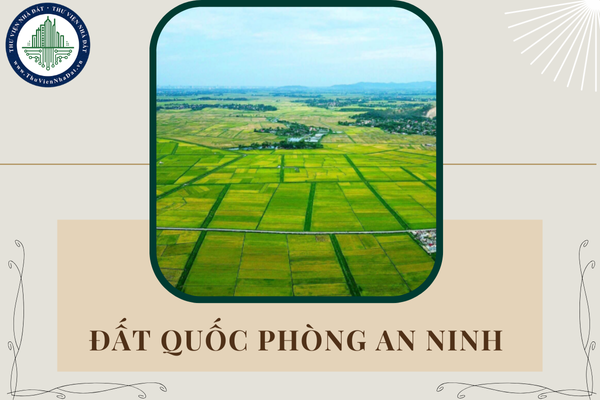 okevipp.com