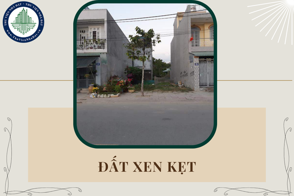 okevipp.com