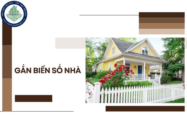 okevipp.com