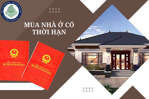 okevipp.com