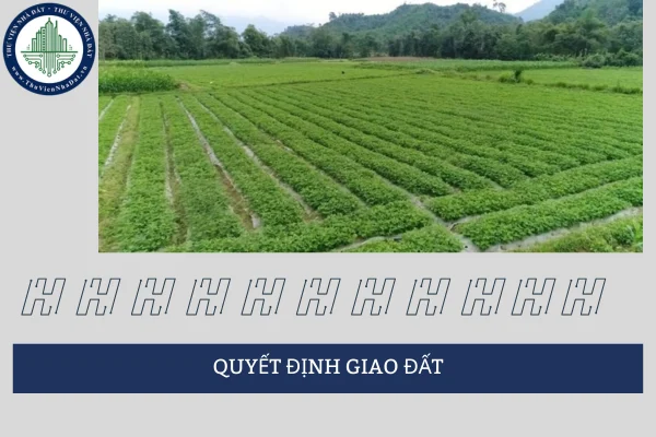 okevipp.com