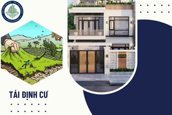 okevipp.com