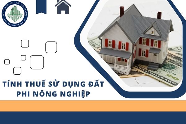 okevipp.com