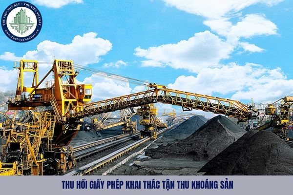 okevipp.com