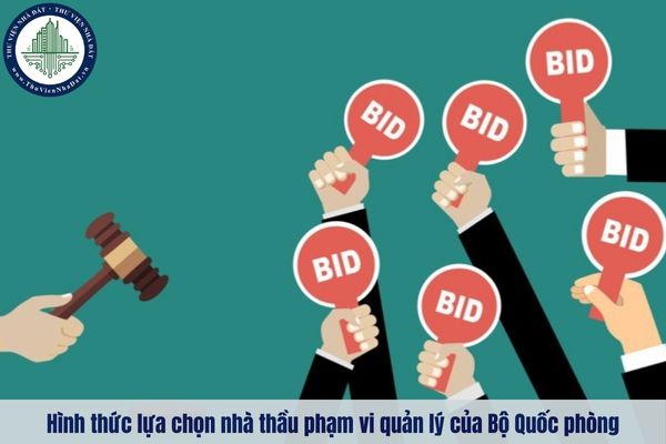 okevipp.com