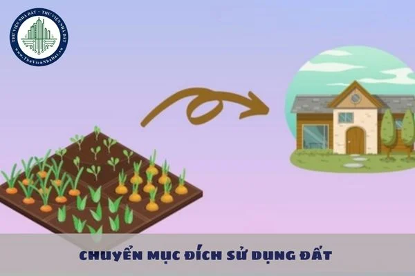 okevipp.com