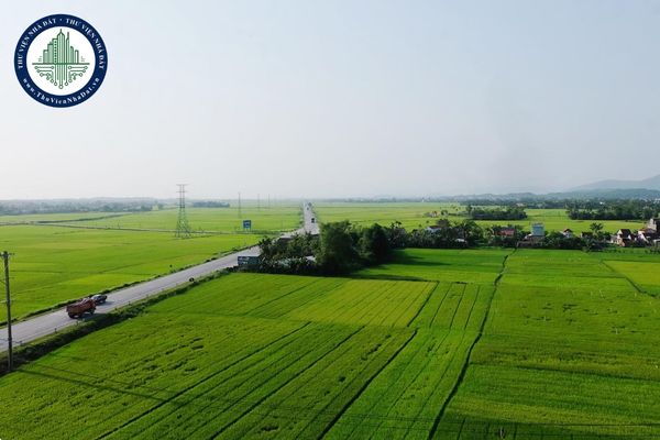 okevipp.com