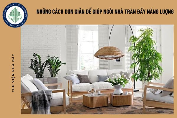 okevipp.com