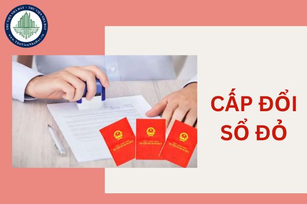 okevipp.com