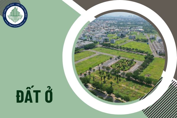 okevipp.com