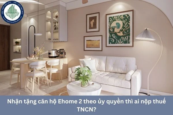 okevipp.com