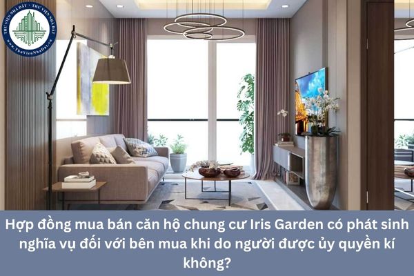 okevipp.com