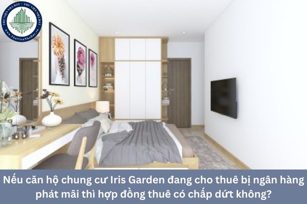 okevipp.com