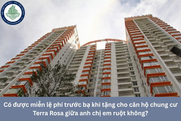 okevipp.com
