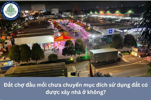 okevipp.com