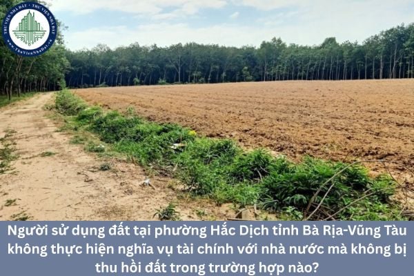 okevipp.com