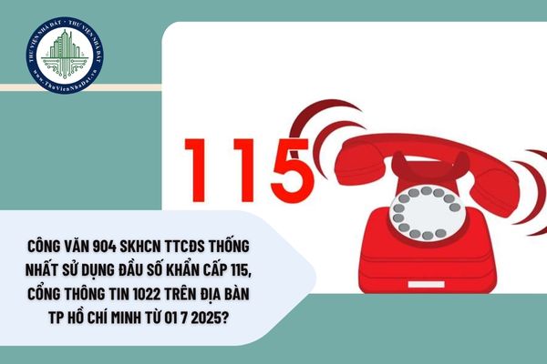 okevipp.com