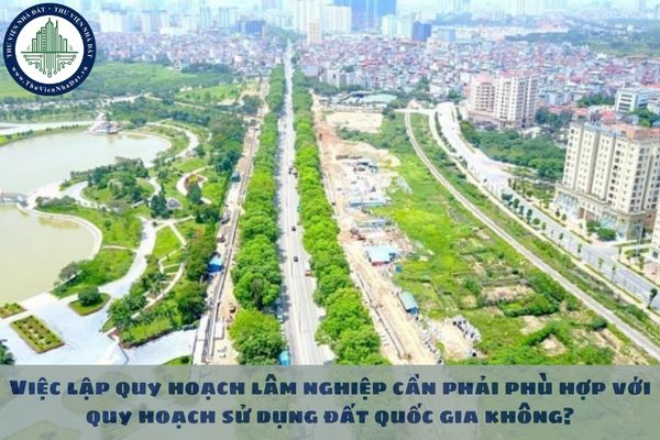 okevipp.com