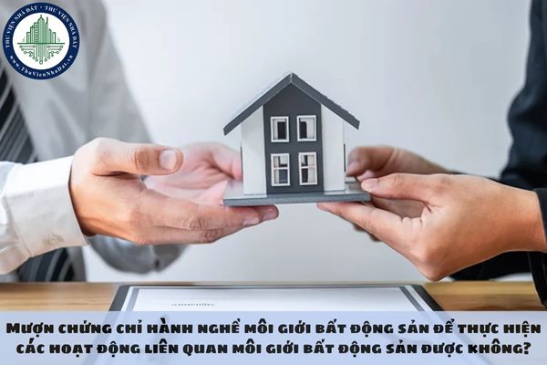 okevipp.com