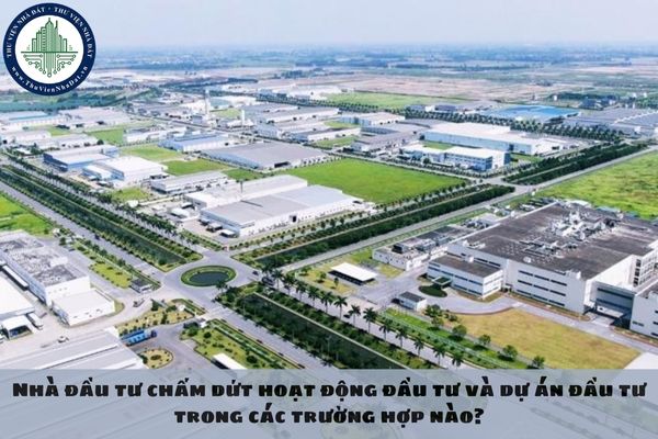 okevipp.com