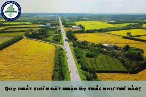 okevipp.com