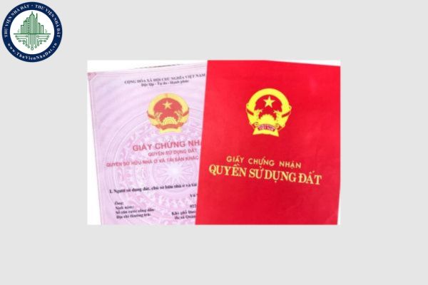 okevipp.com