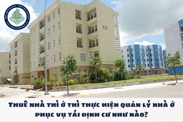 okevipp.com