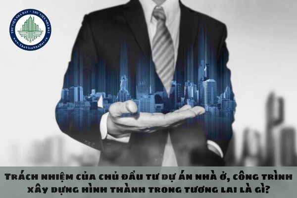okevipp.com