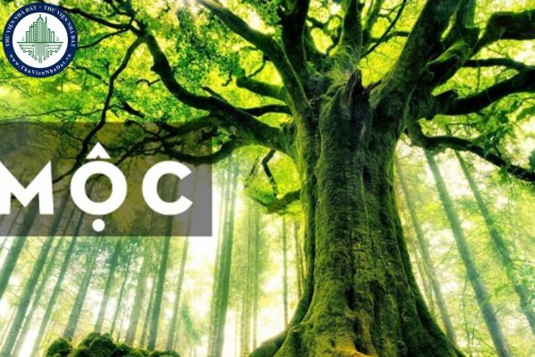 okevipp.com