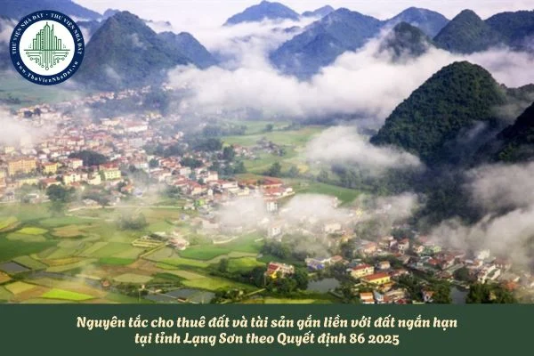 okevipp.com
