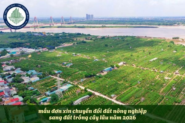 okevipp.com