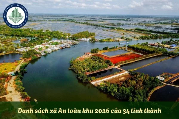 okevipp.com