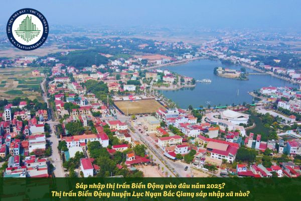 okevipp.com