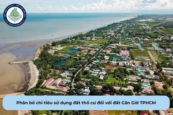 okevipp.com