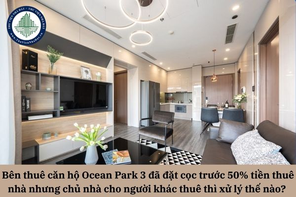 Bên thuê căn hộ Ocean Park 3 đã đặt cọc trước 50% tiền thuê nhà nhưng chủ nhà cho người khác thuê thì xử lý thế nào?